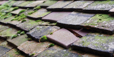 Pond Park roof repair costs